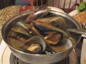 jmussels