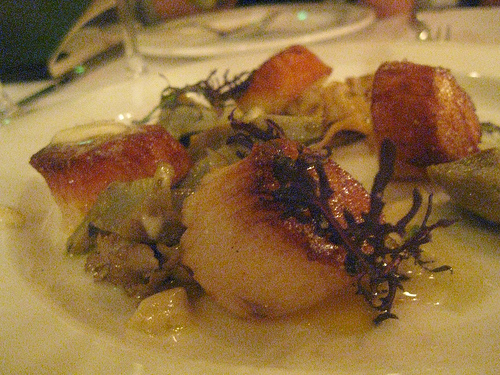 joe5scallop
