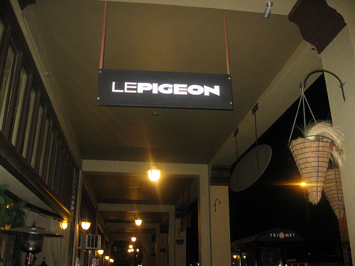 lepigeon1