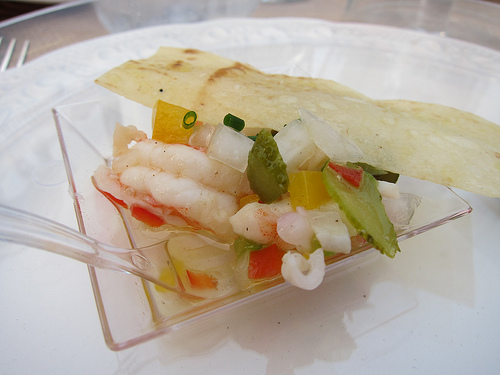 angelenocevichekitch