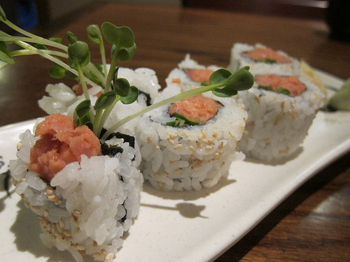 spicy tuna roll