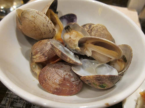 clams
