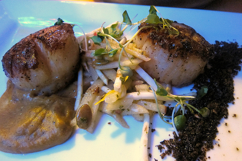 scallops