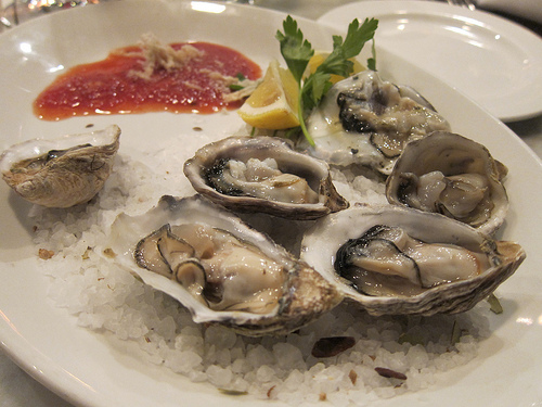 oysters
