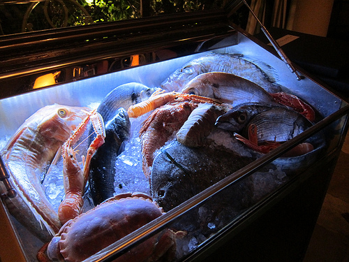 fresh seafood display