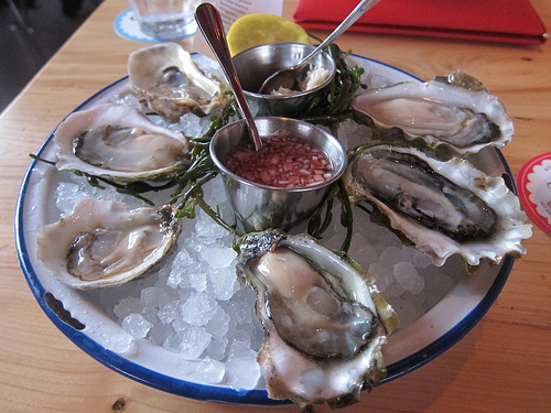 oysters