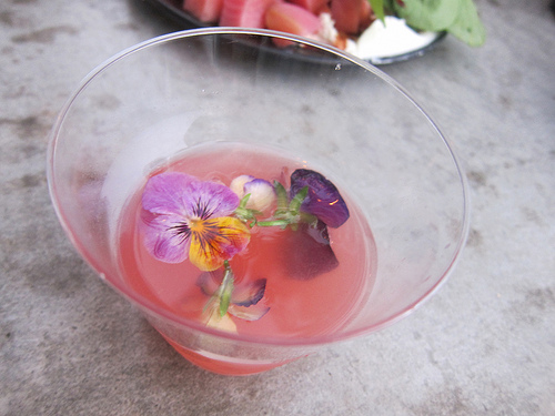 drinks from Matthew Biancaniello