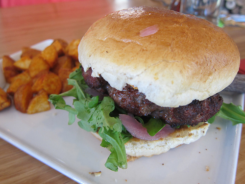 bison burger