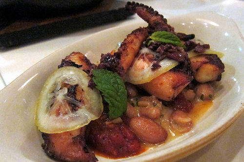 grilled octopus
