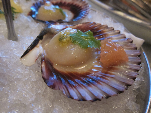 Peruvian scallops