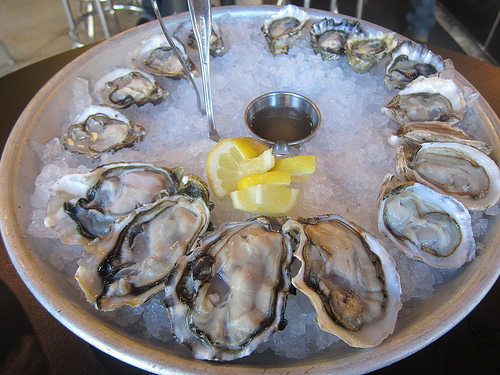 oysters