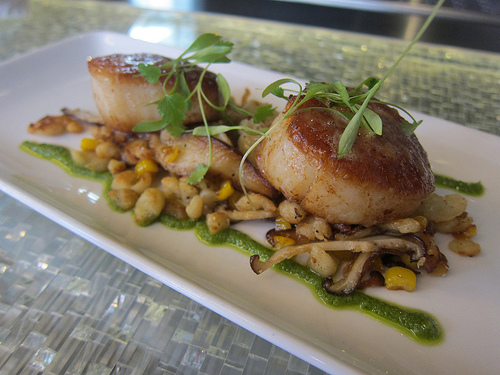 scallops at Trace