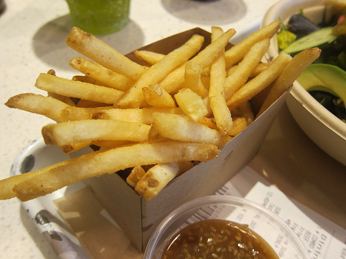 fries