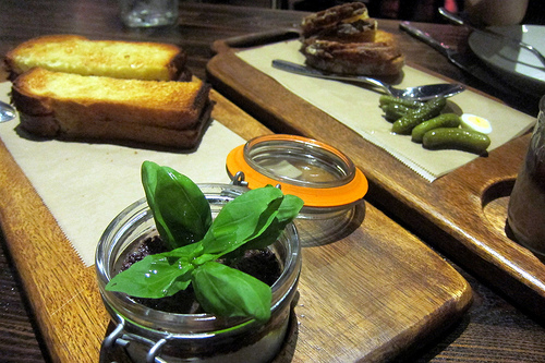 goat cheese with tapanade