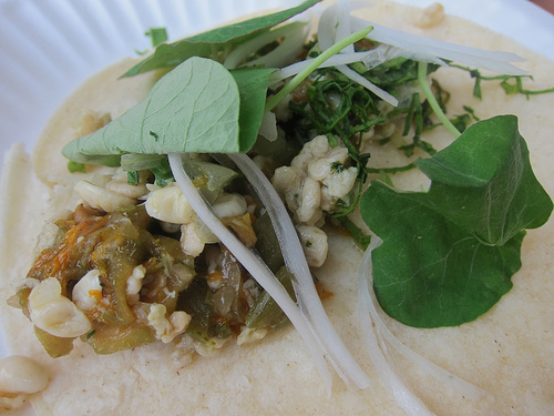 taco from Chef Laurent