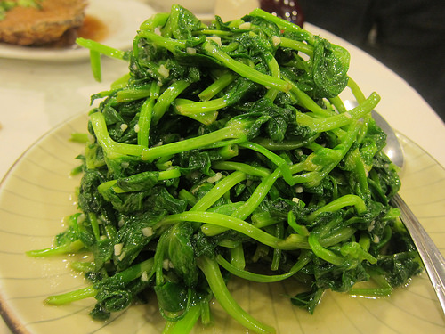 pea tendrils with garlic sauce