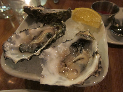 oysters