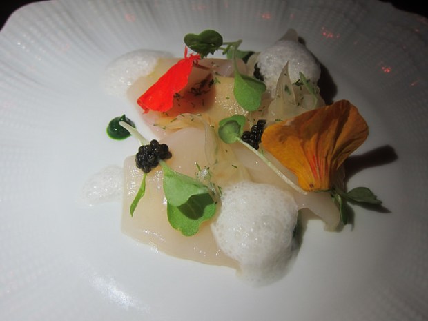 scallop crudo
