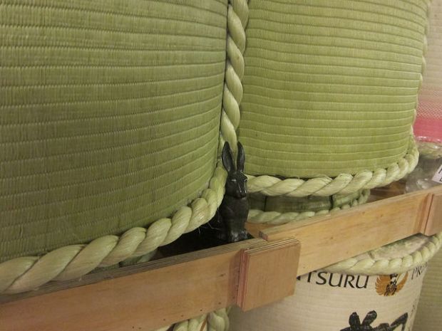 find the rabbit for the entrance