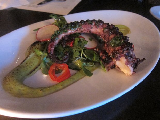 grilled octopus