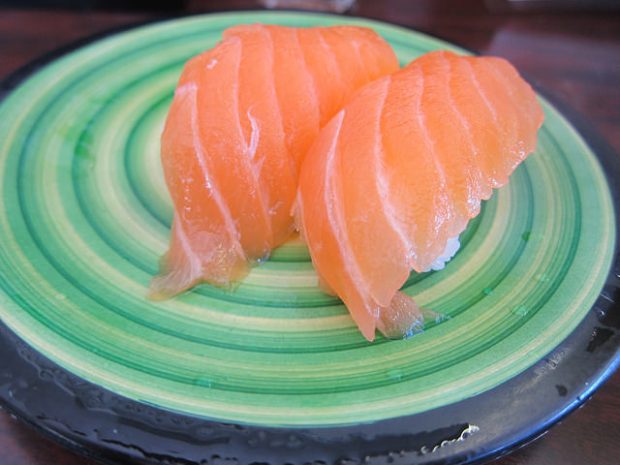 salmon