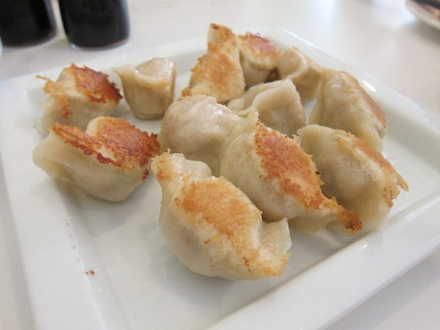 pan fried pork dumplings
