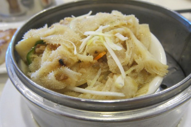 tripe with XO sauce