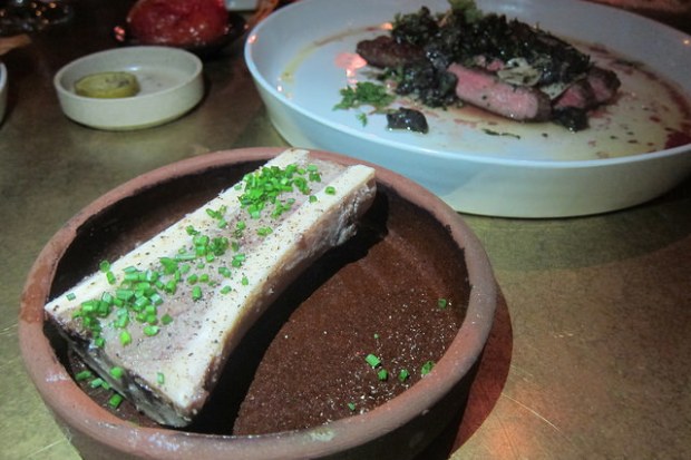 bone marrow