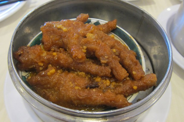 chicken feet