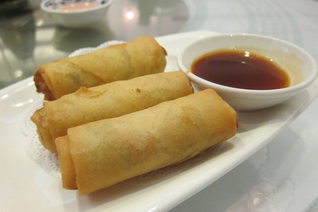 egg rolls