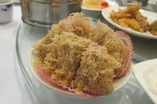 taro and pork - wuu gwok