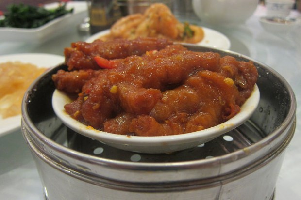 chicken feet