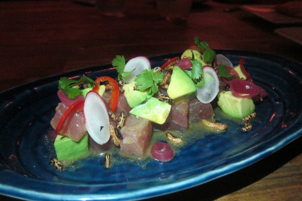 yellowfin poke