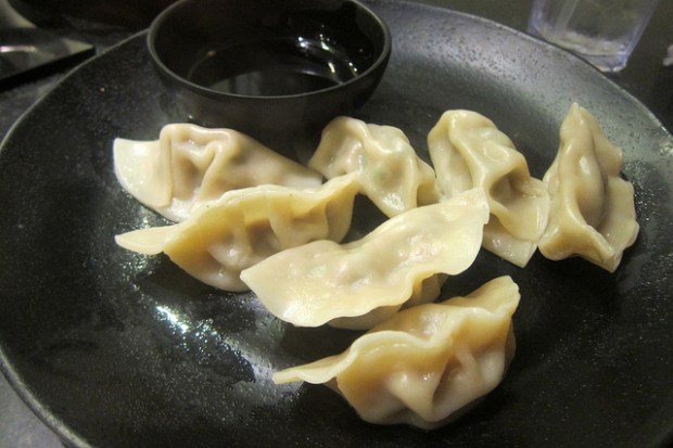 lamb dumplings