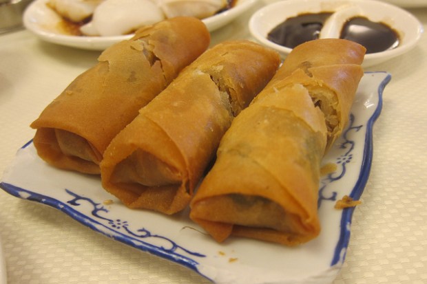egg rolls