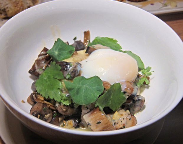 roasted wild mushrooms and poached egg