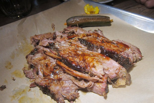 brisket