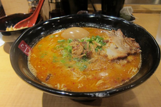 Bold ramen (tonkotsu)