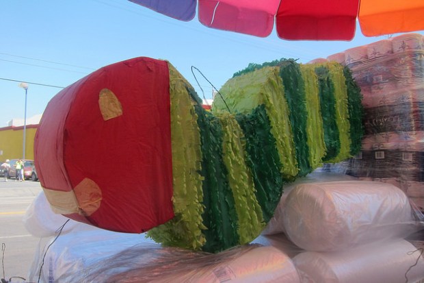 pinata in the Pinata district