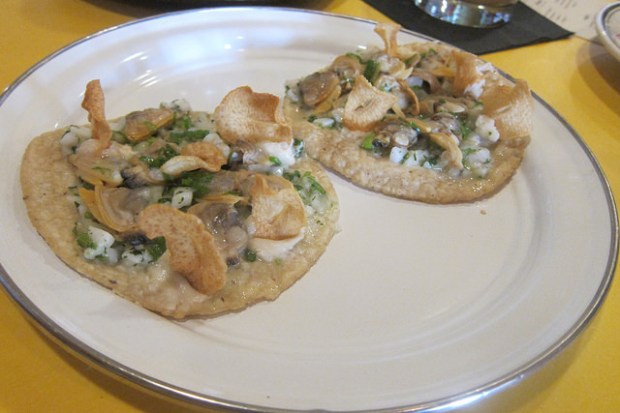 clams and lardo tacos