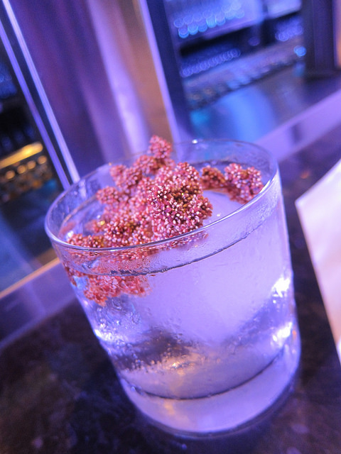 Christine Wiseman's Forage Whittaker