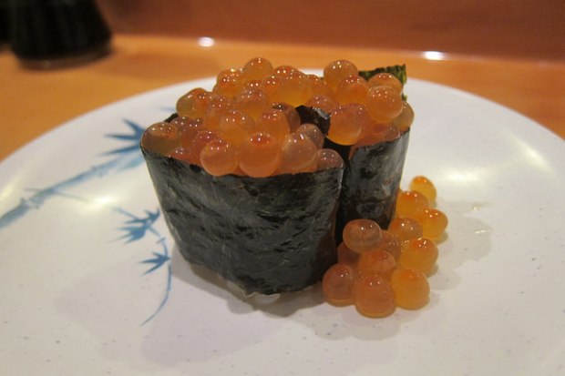 ikura
