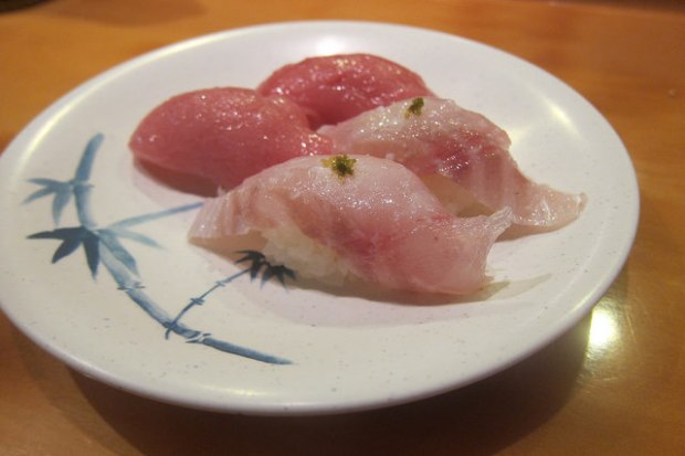 toro and red snapper