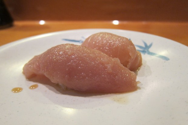 albacore