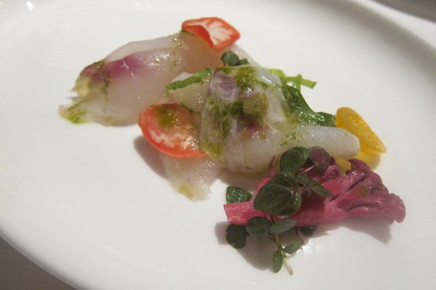 close up on the sashimi