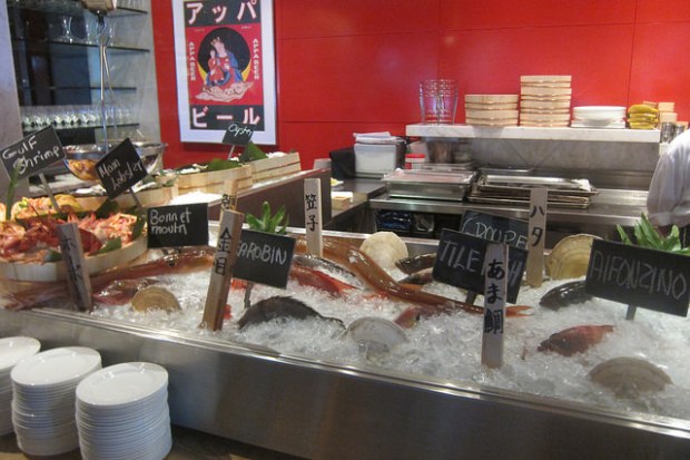 new kaisen seafood bar