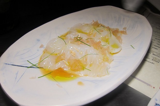 hog fish crudo