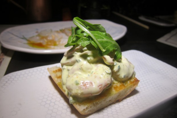 laughing bird shrimp salad