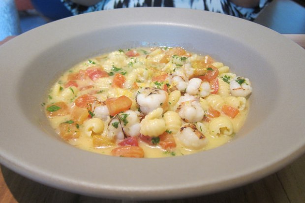 gnnochetti with rock shrimp