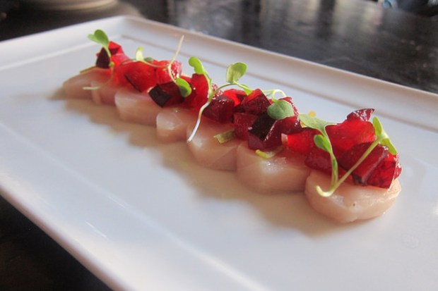 Ivory salmon crudo